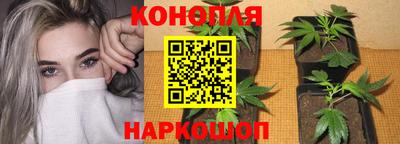 MESCALINE Малгобек