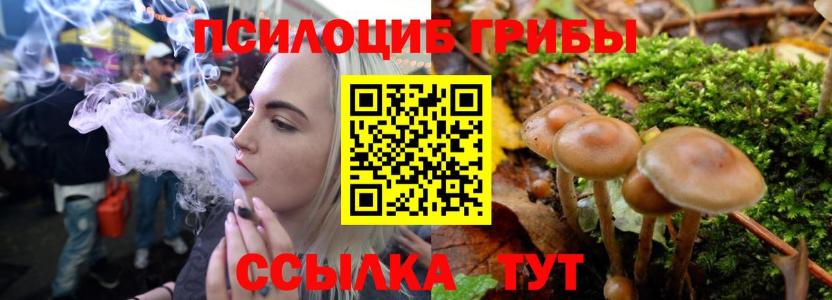 Псилоцибиновые грибы Magic Shrooms  Вход с VPN  Славянск-на-Кубани 